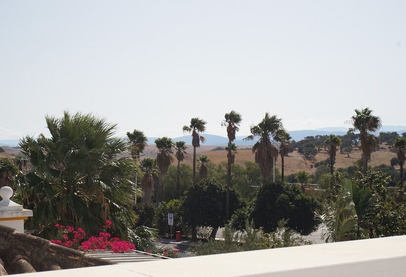 Отель La Palmosa