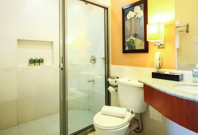 هتل Makati Palace