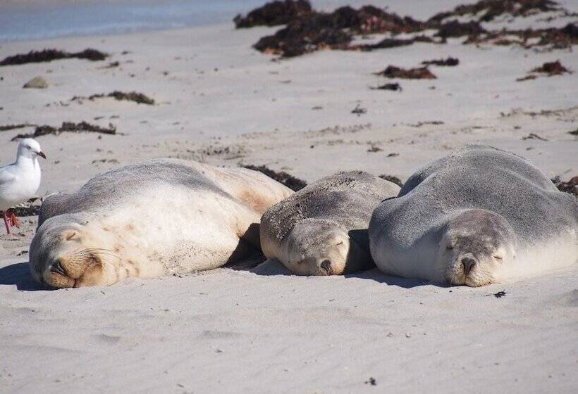 هتل Mercure Kangaroo Island Lodge