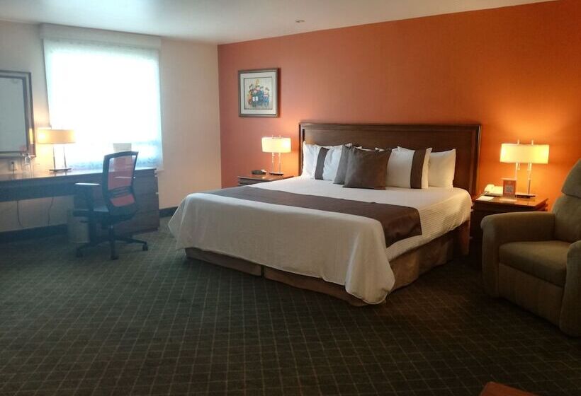 ホテル Mision Express Pachuca