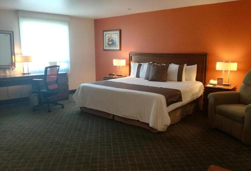 ホテル Mision Express Pachuca