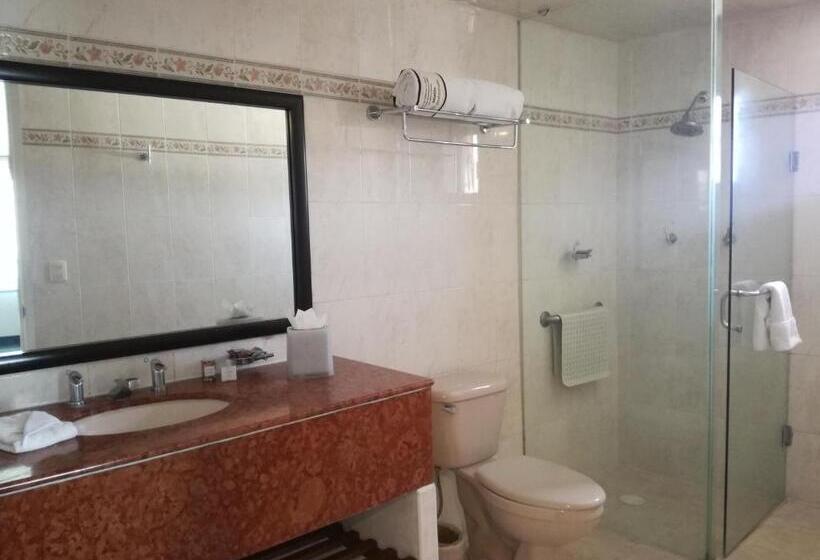 ホテル Mision Express Pachuca