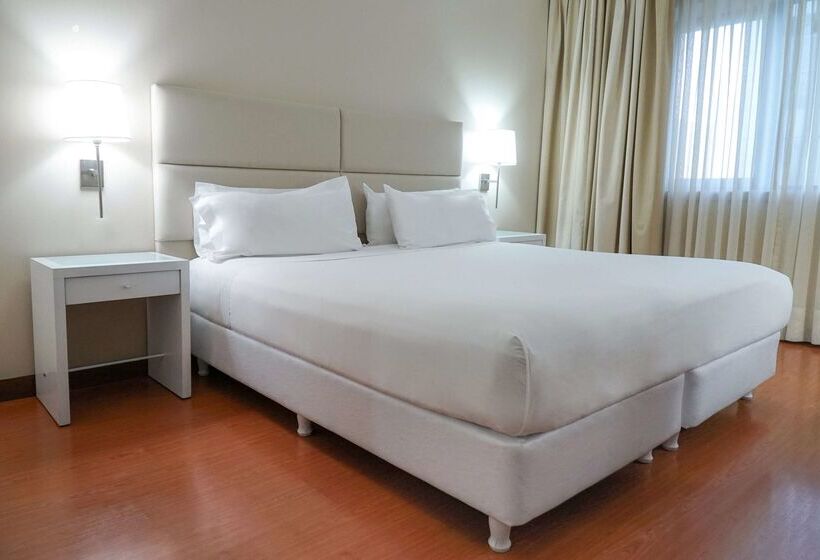 酒店 NH Mendoza Cordillera