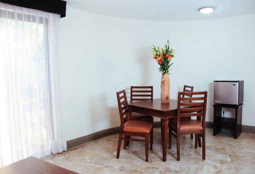 酒店 Palmareca Inn Suites Studio