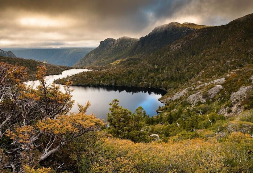 فندق Peppers Cradle Mountain Lodge