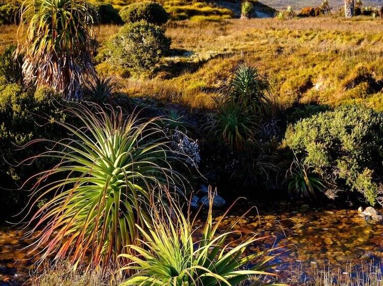 فندق Peppers Cradle Mountain Lodge