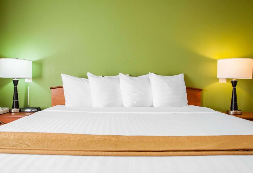 בית מלון כפרי Quality Inn Bolingbrook I 55