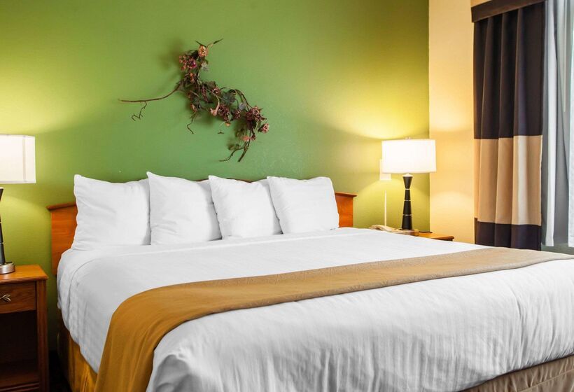 בית מלון כפרי Quality Inn Bolingbrook I 55