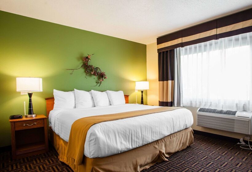 בית מלון כפרי Quality Inn Bolingbrook I 55