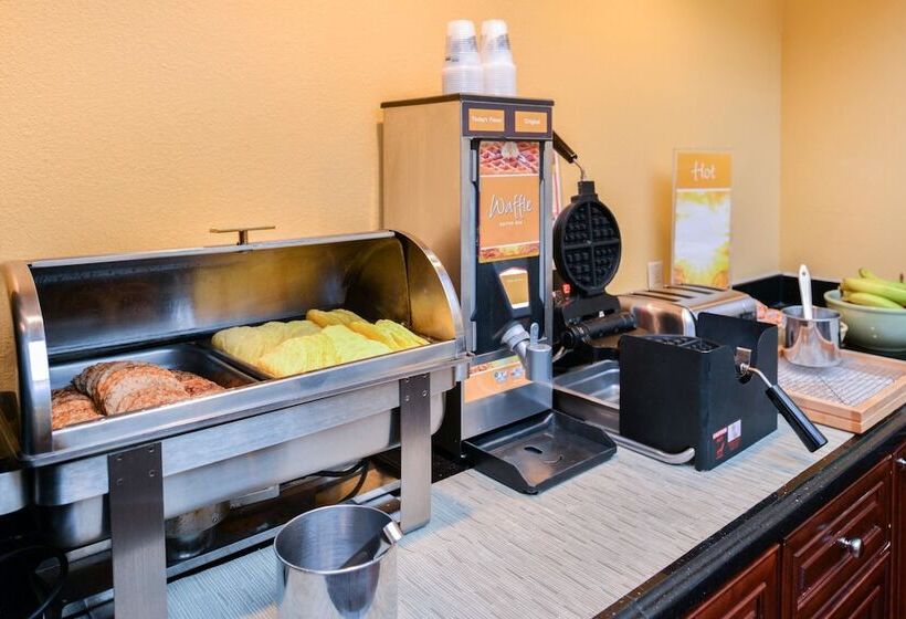 בית מלון כפרי Quality Inn Bolingbrook I 55