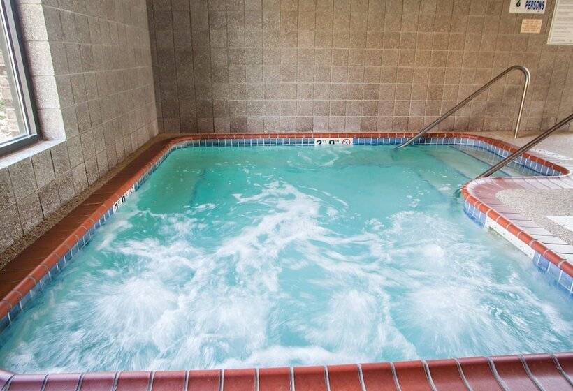 בית מלון כפרי Quality Inn Bolingbrook I 55
