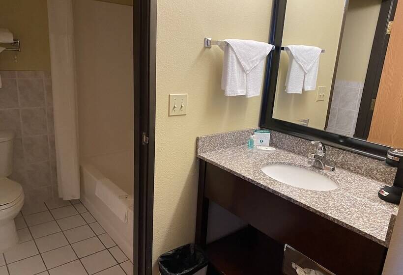 فندق Quality Inn Bolingbrook I 55