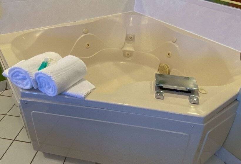 בית מלון כפרי Quality Inn Bolingbrook I 55