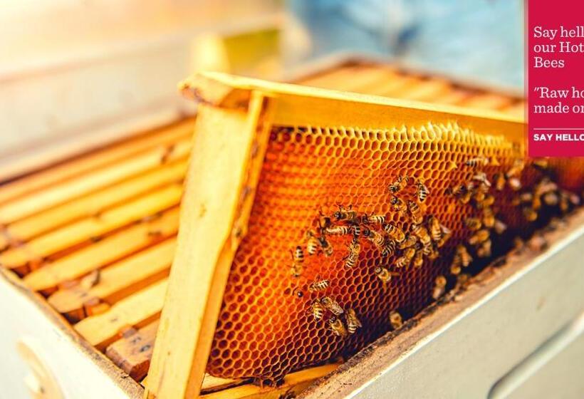 Отель Ramada By Wyndham Essen