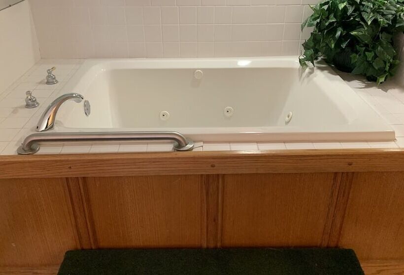 Отель Regency Inn And Suites