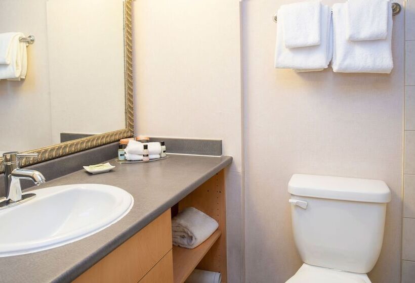 호텔 Sandman Suites Vancouver On Davie