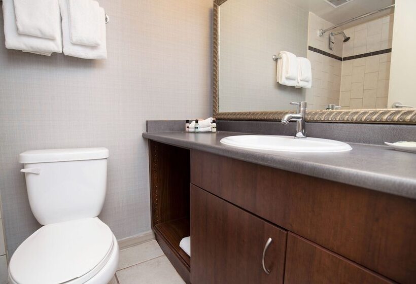 호텔 Sandman Suites Vancouver On Davie