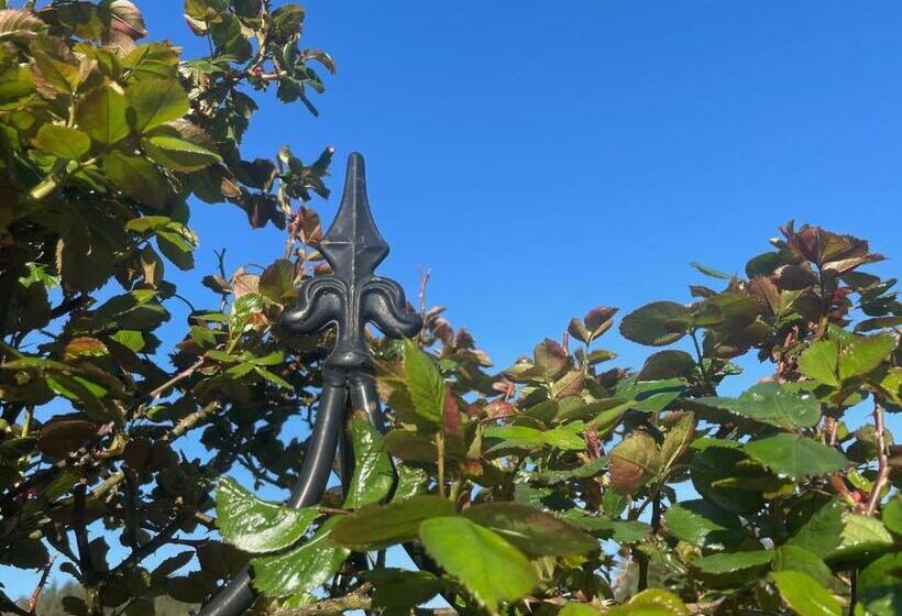 فندق Schloss Moosburg Gästehaus