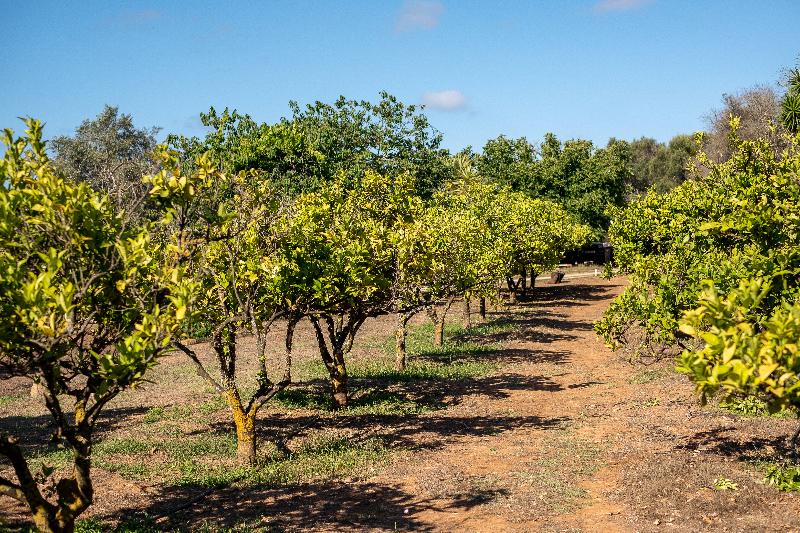 호텔 Vila Valverde Design Country