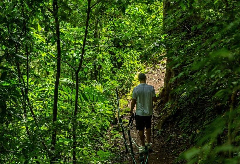 فندق Villa Lapas Jungle Village