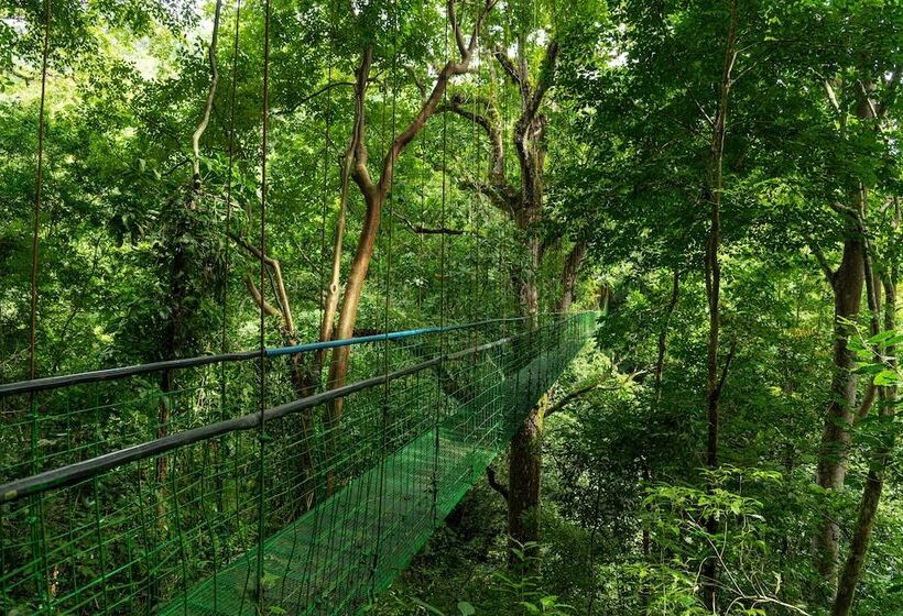 호텔 Villa Lapas Jungle Village