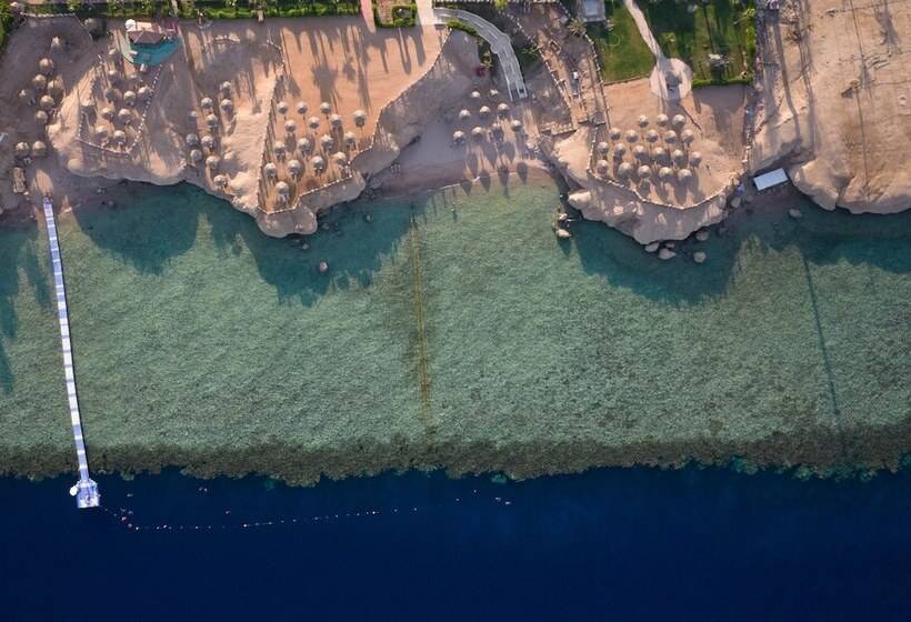 Safir Sharm Waterfalls Resort