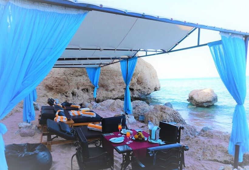 Safir Sharm Waterfalls Resort