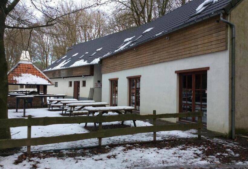 ユースホステル Dortoirs Le Domaine