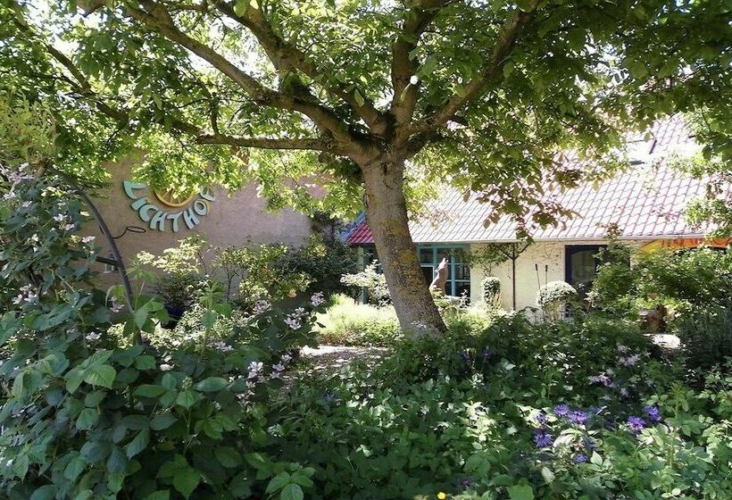 호스텔 Gastehaus Und Cafe Lichthof