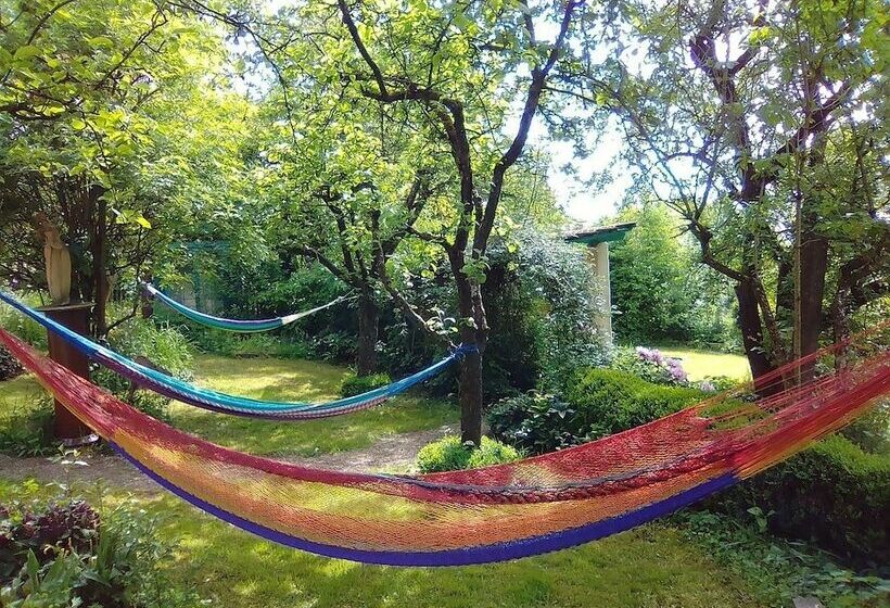 호스텔 Gastehaus Und Cafe Lichthof