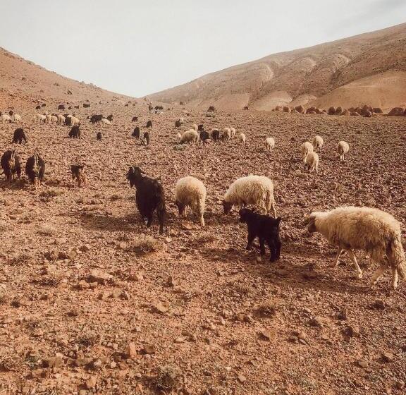 هاستل Hiking Nomads Guesthouse