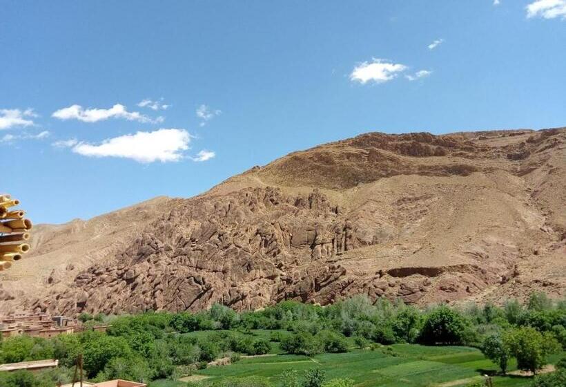 هاستل Hiking Nomads Guesthouse