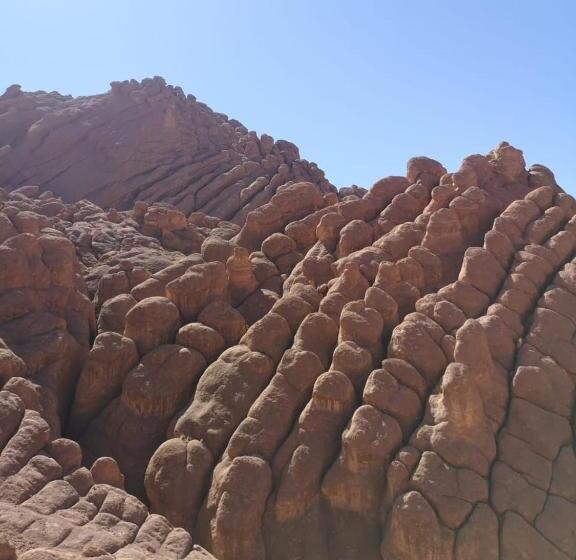 هاستل Hiking Nomads Guesthouse