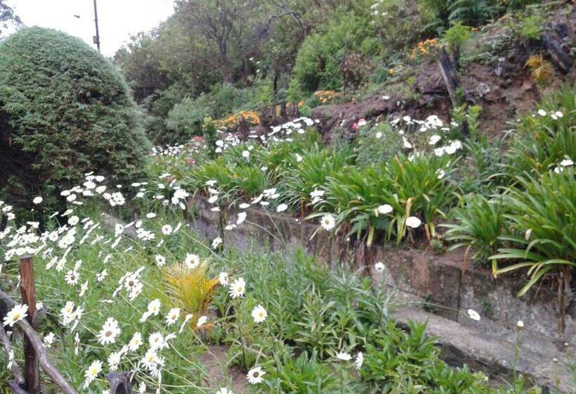 فندق صغير Horton Mountain