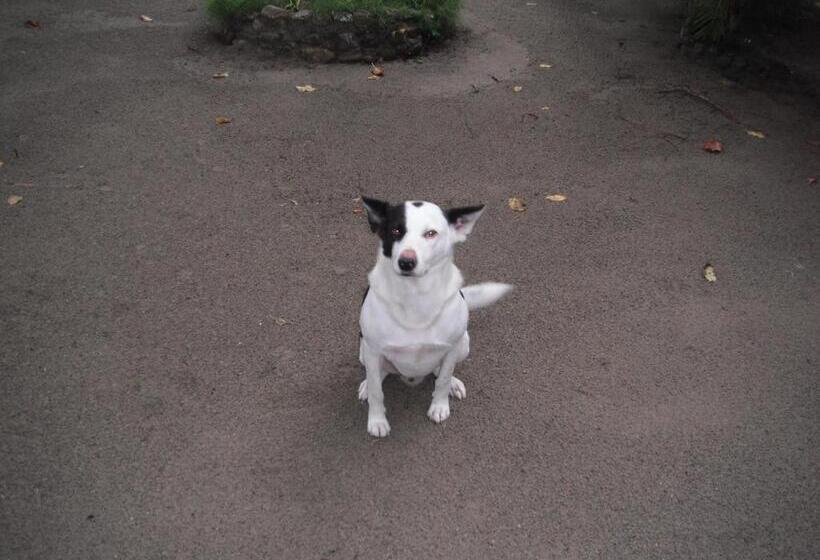 הוסטל Playa Paraiso En Magante