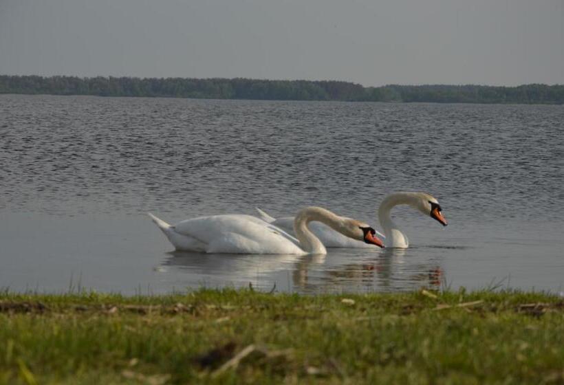 호스텔 Pulemchanka