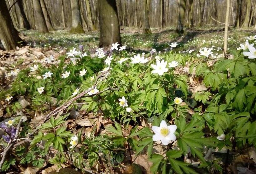 호스텔 Pulemchanka