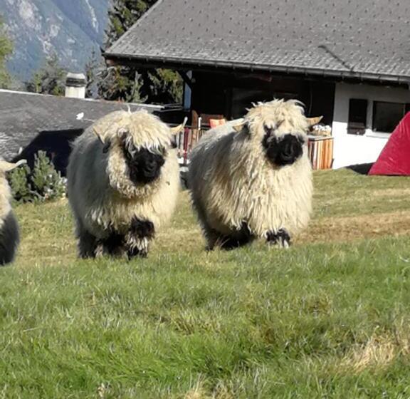 הוסטל Restaurant Fleschboden