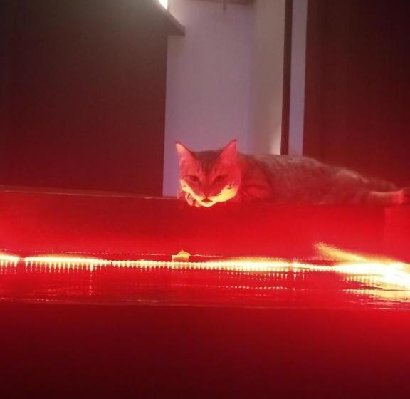 Auberge Hôtelière Sakura Inn