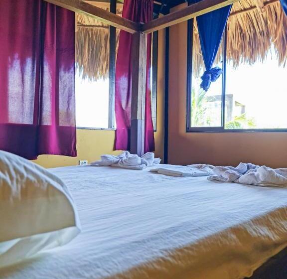 호스텔 Surfing Turtle Lodge