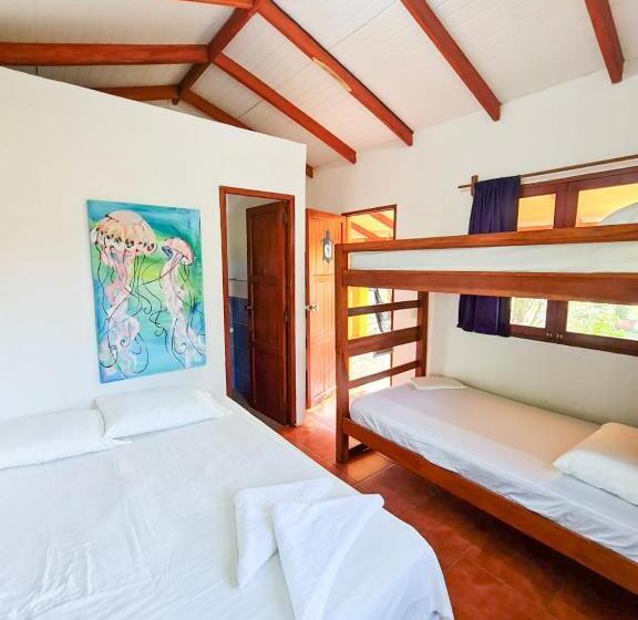 호스텔 Surfing Turtle Lodge