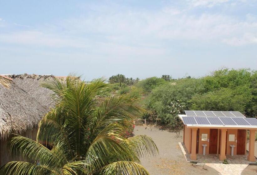 호스텔 Surfing Turtle Lodge