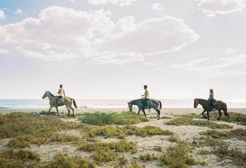 호스텔 Surfing Turtle Lodge