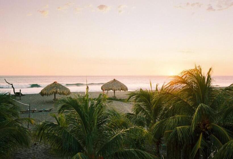 호스텔 Surfing Turtle Lodge