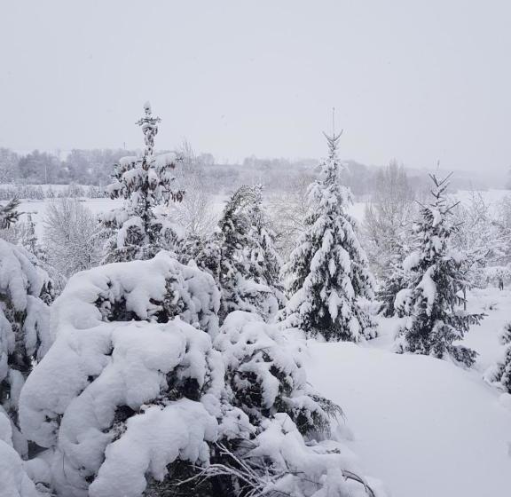 هاستل Vesyolaya Rochsha