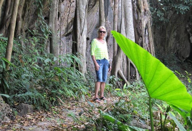 Bang Boet Bay Beach Resort