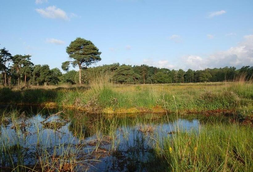 B&b Farmhouse De Loksheuvel