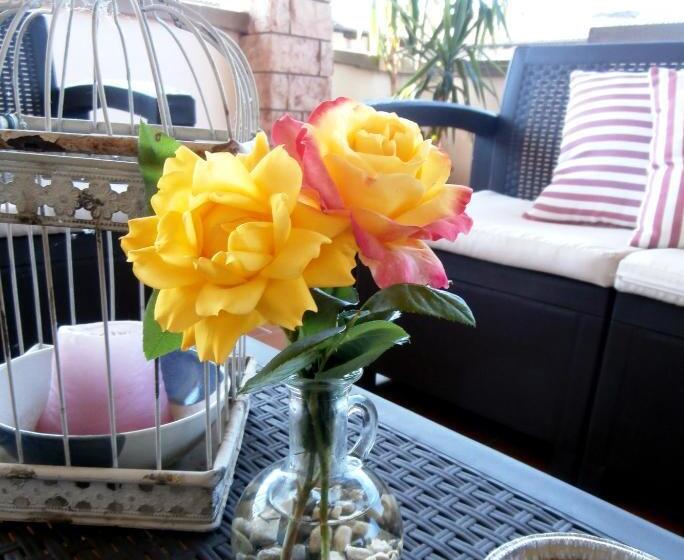 B&b Nella Terra Di Mezzo