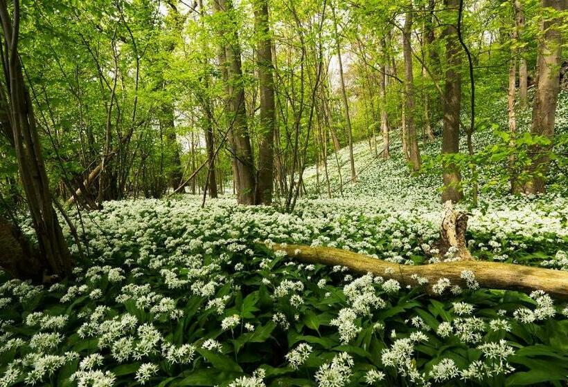 B&b   Eetcafe   Riekelt