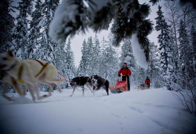 Beana Laponia   Wilderness Boutique Hotel With Safaris